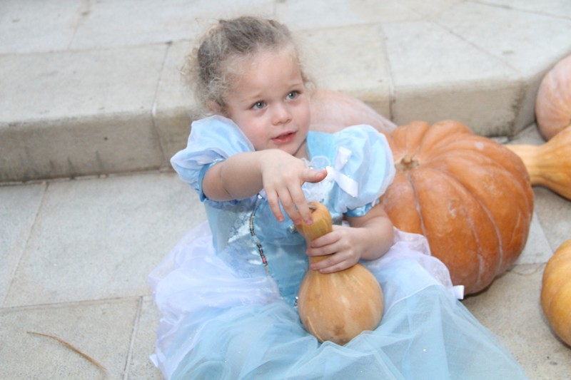 Le Marché Saifi-Halloween Edition